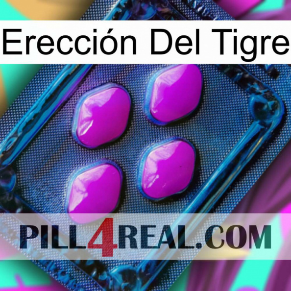 Erección Del Tigre 04.jpg